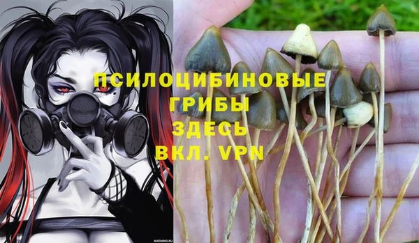 кристаллы Медногорск